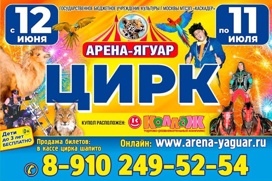 Цирк арена ягуар фото